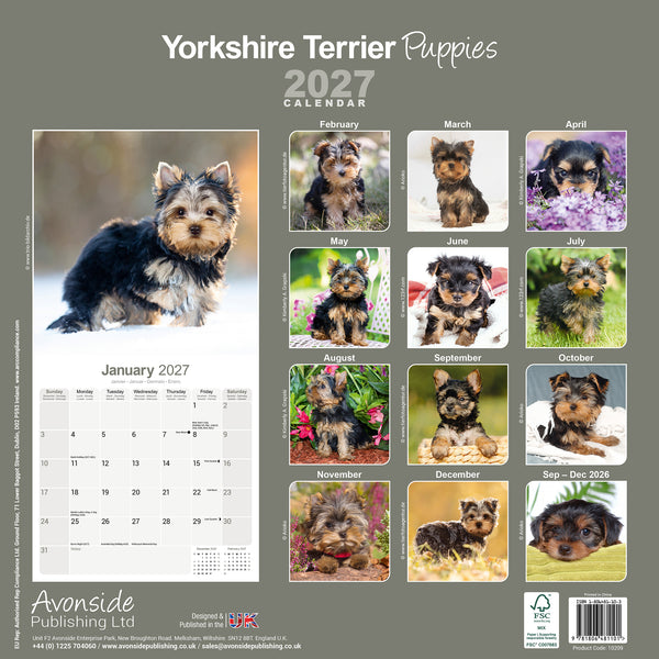 Yorkshire Terrier Puppies Calendar 2027