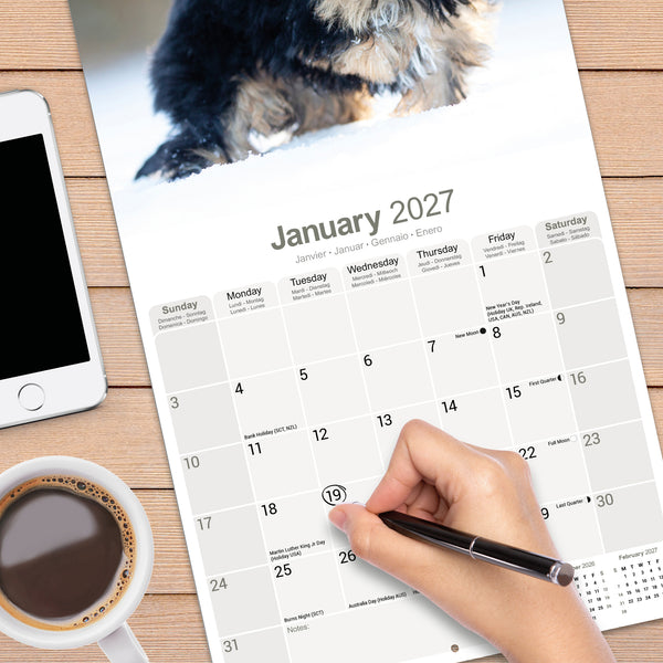 Yorkshire Terrier Puppies Calendar 2027