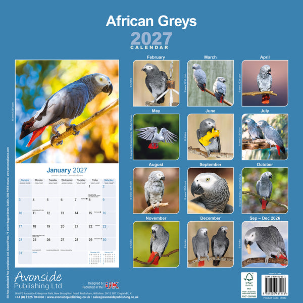 African Greys Calendar 2027