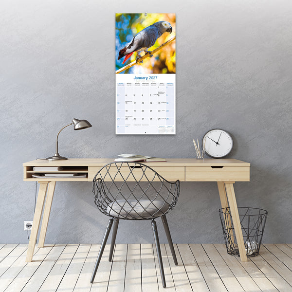 African Greys Calendar 2027