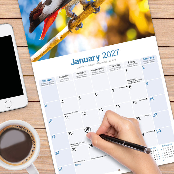 African Greys Calendar 2027