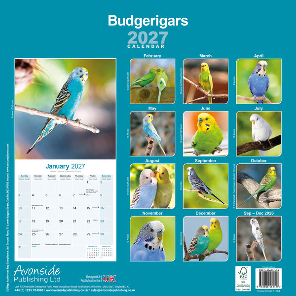 Budgerigars Calendar 2027