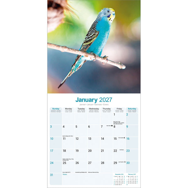 Budgerigars Calendar 2027