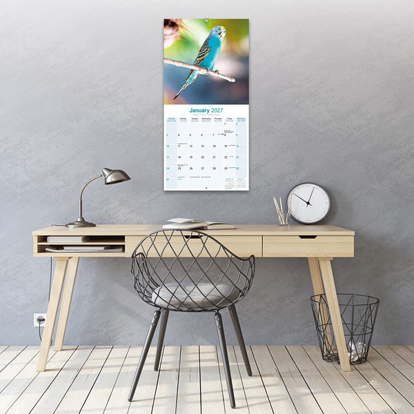 Budgerigars Calendar 2027