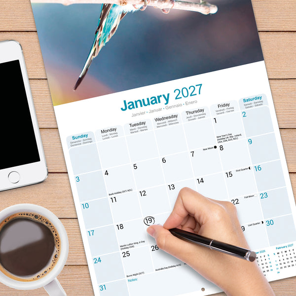Budgerigars Calendar 2027