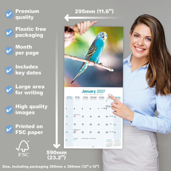 Budgerigars Calendar 2027