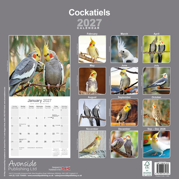 Cockatiels Calendar 2027