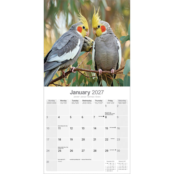 Cockatiels Calendar 2027