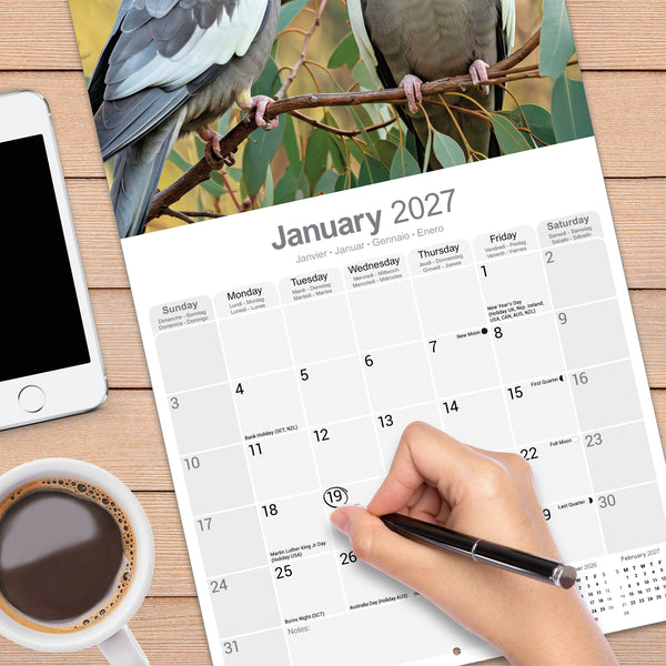 Cockatiels Calendar 2027