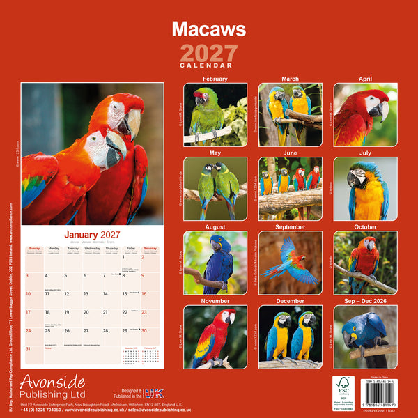 Macaws Calendar 2027