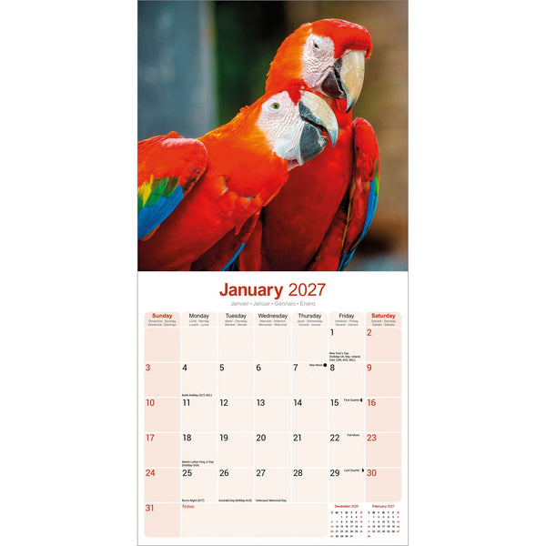 Macaws Calendar 2027