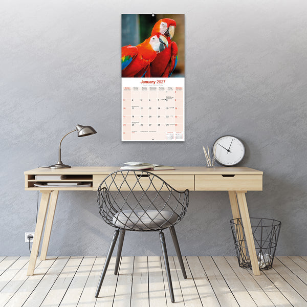 Macaws Calendar 2027
