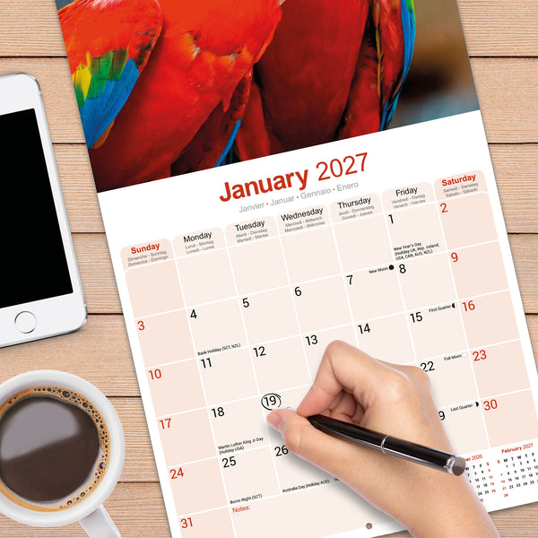 Macaws Calendar 2027