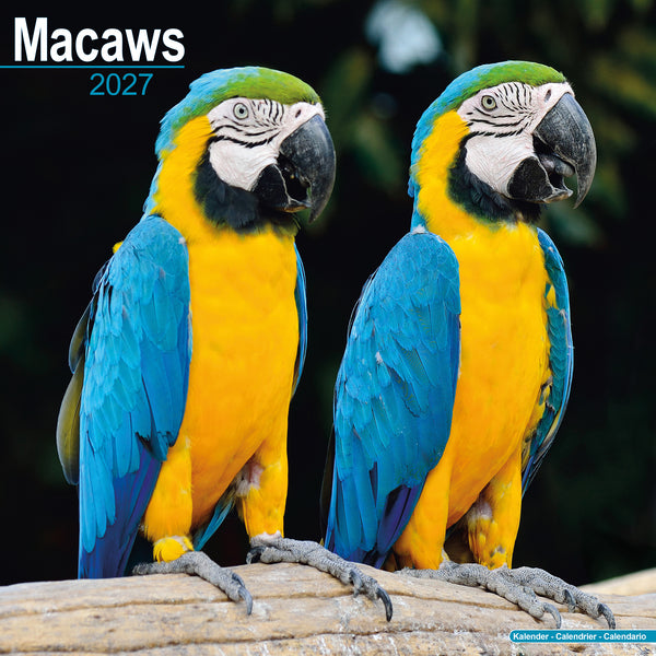 Macaws Calendar 2027