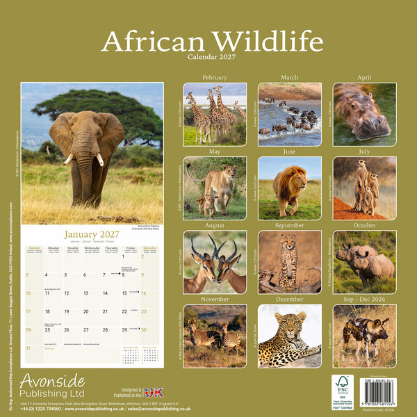 African Wildlife Calendar 2027