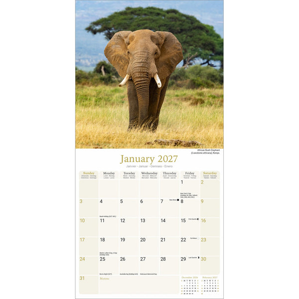 African Wildlife Calendar 2027