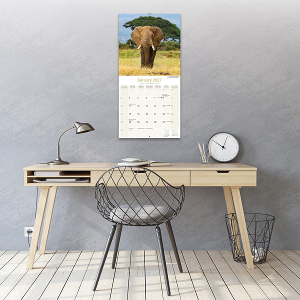 African Wildlife Calendar 2027
