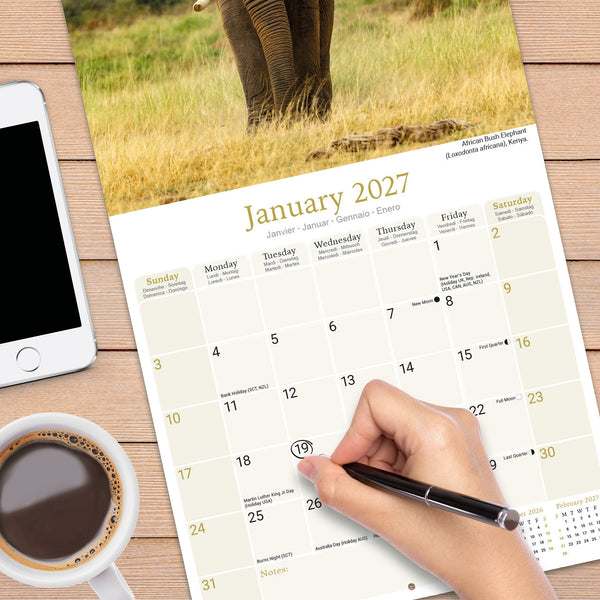 African Wildlife Calendar 2027