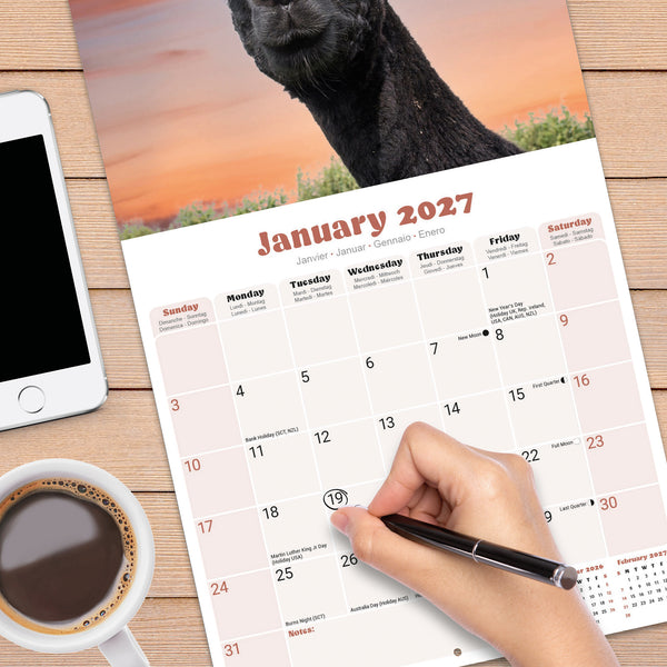 Alpacas Calendar 2027