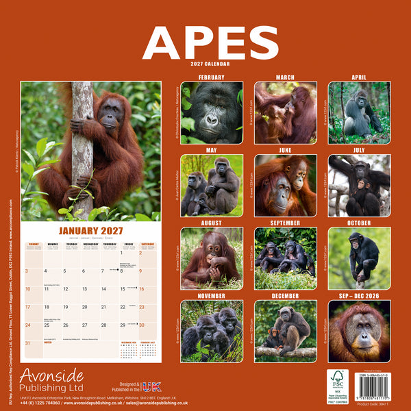Apes Calendar 2027