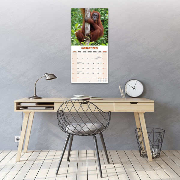 Apes Calendar 2027