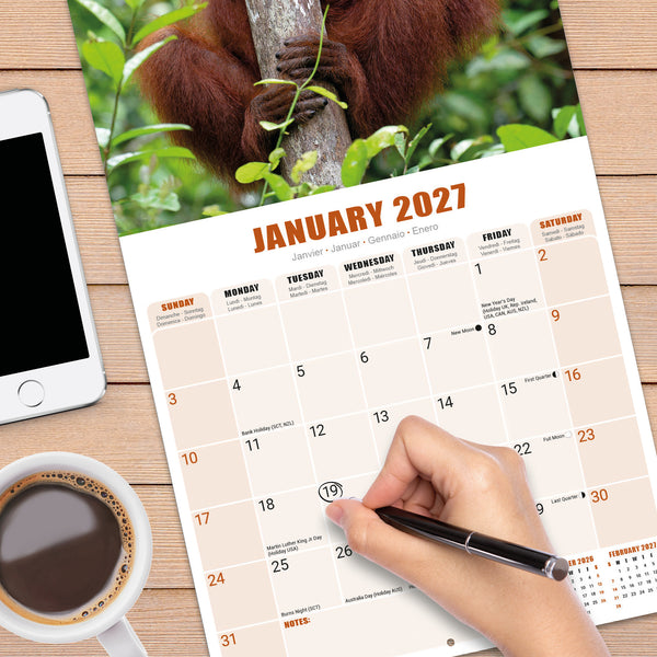 Apes Calendar 2027