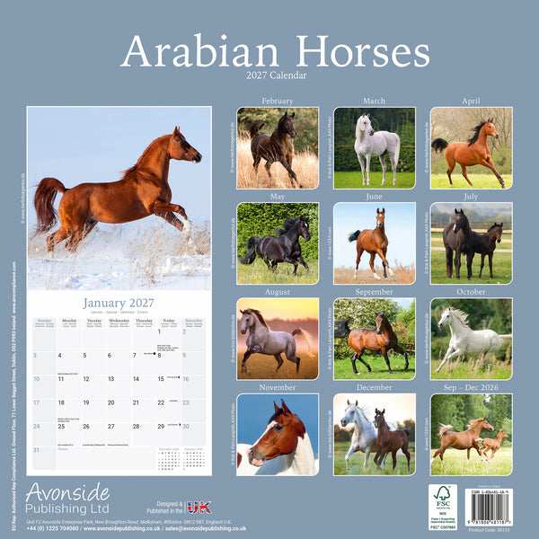 Arabian Horses Calendar 2027
