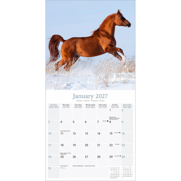 Arabian Horses Calendar 2027