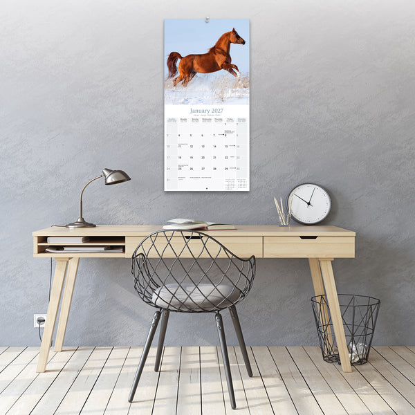 Arabian Horses Calendar 2027