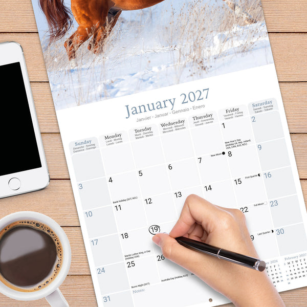 Arabian Horses Calendar 2027