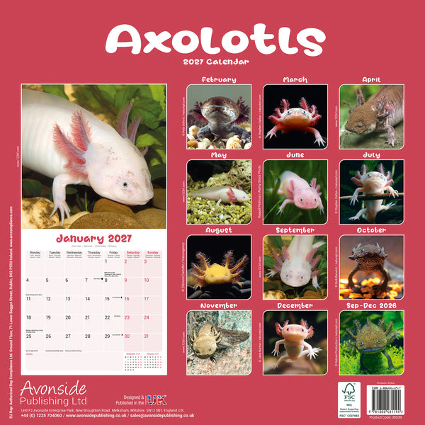 Axolotls Calendar 2027