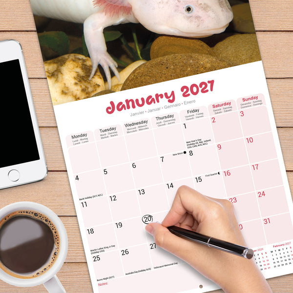 Axolotls Calendar 2027