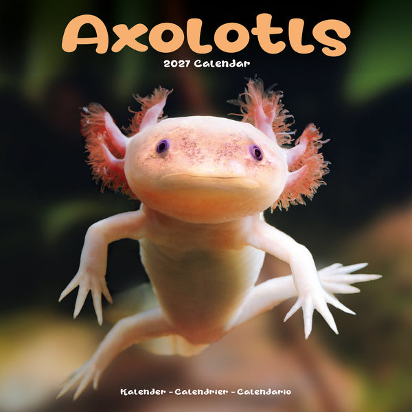 Axolotls Calendar 2027