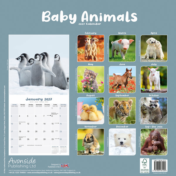 Baby Animals Calendar 2027