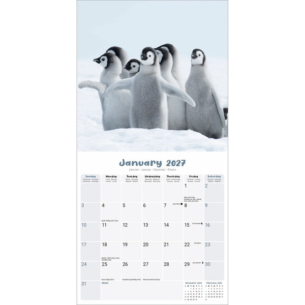 Baby Animals Calendar 2027
