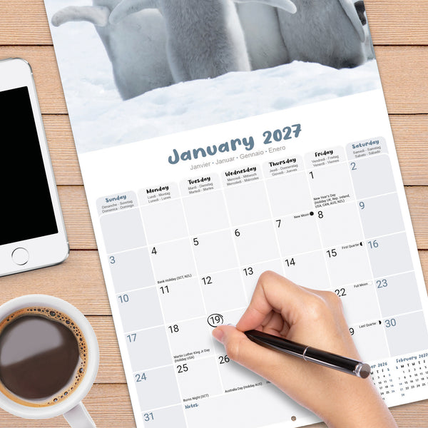 Baby Animals Calendar 2027