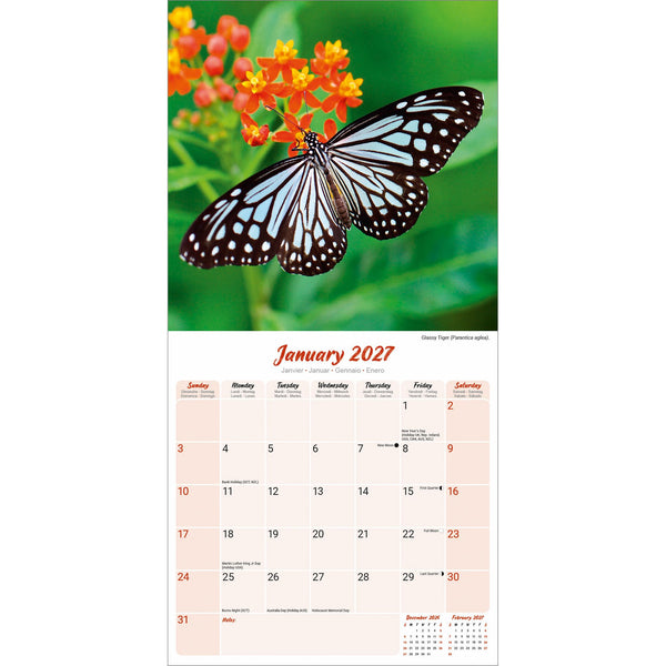 Butterflies Calendar 2027