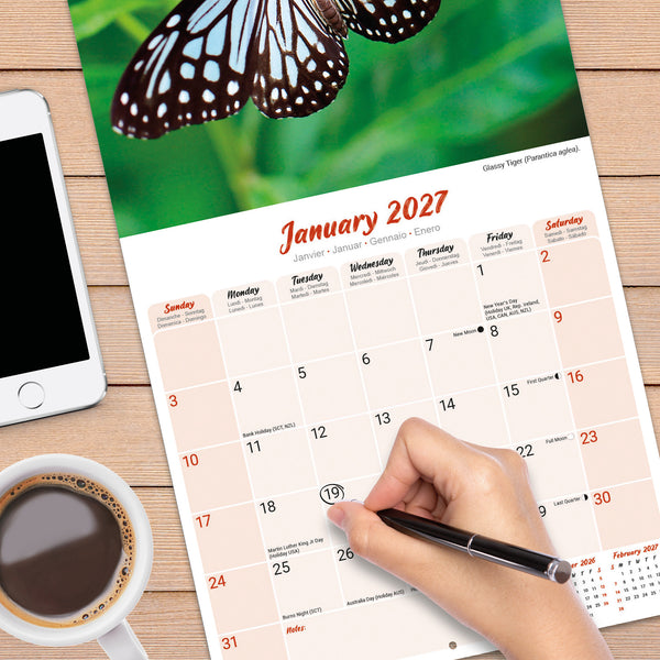 Butterflies Calendar 2027