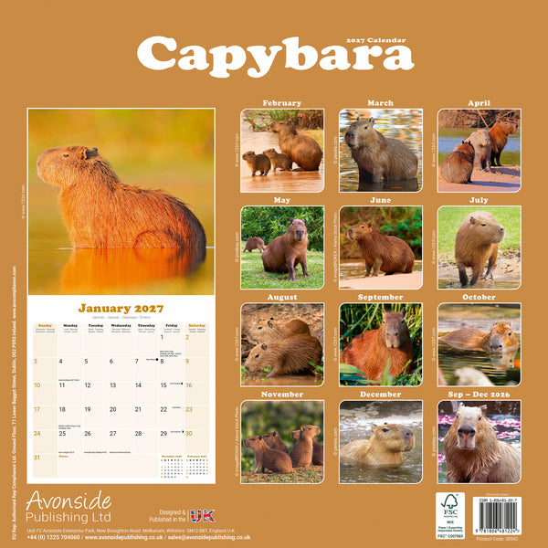 Capybara Calendar 2027
