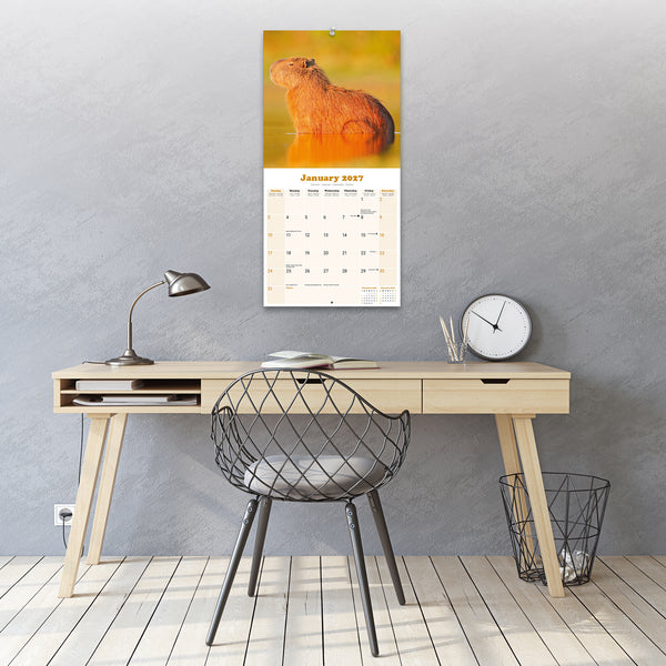 Capybara Calendar 2027