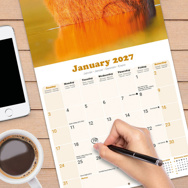 Capybara Calendar 2027