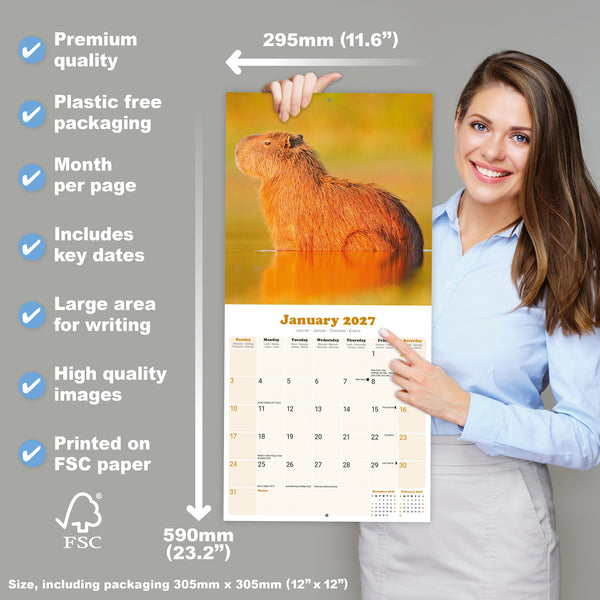 Capybara Calendar 2027
