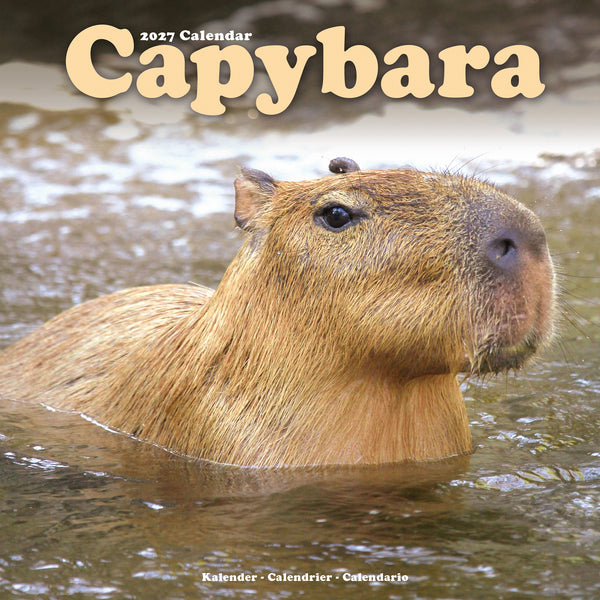 Capybara Calendar 2027