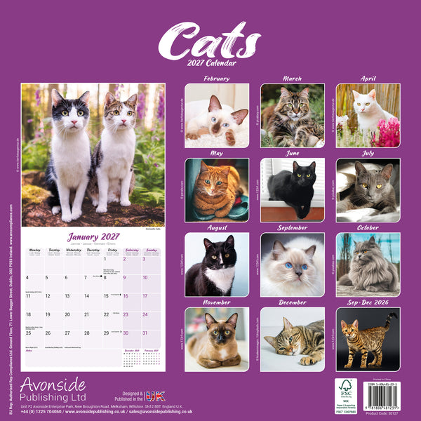 Cats Calendar 2027