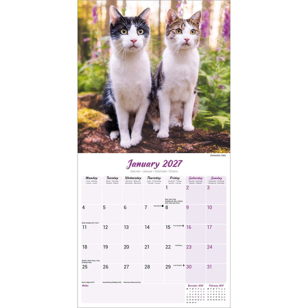 Cats Calendar 2027