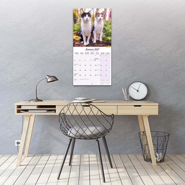 Cats Calendar 2027