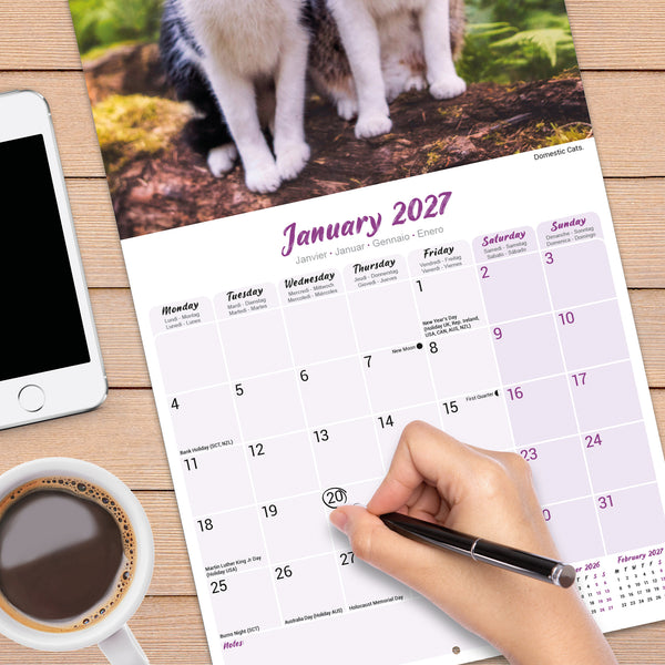 Cats Calendar 2027