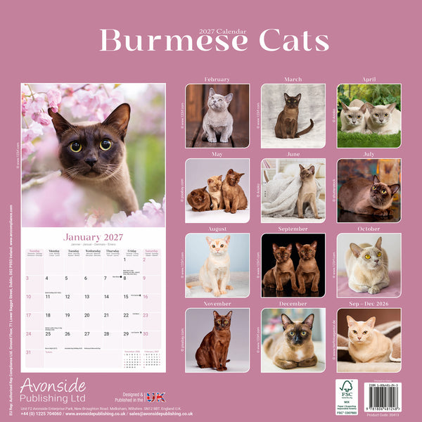 Burmese Cats Calendar 2027
