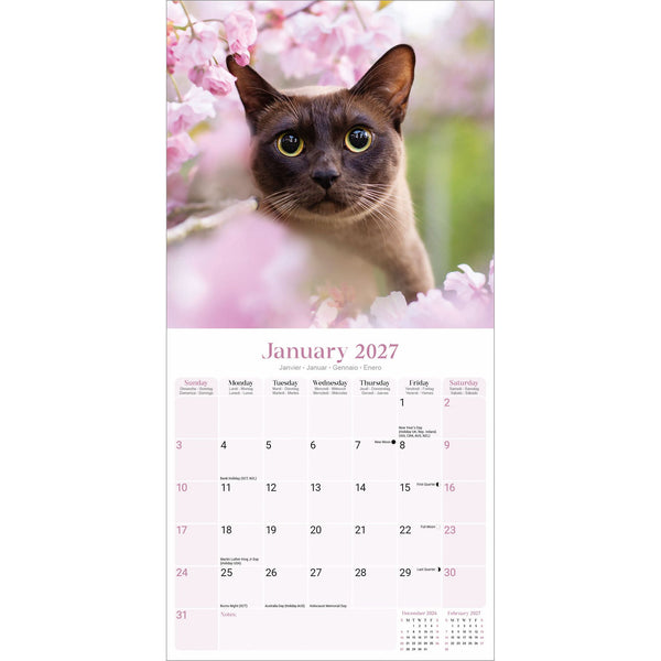 Burmese Cats Calendar 2027