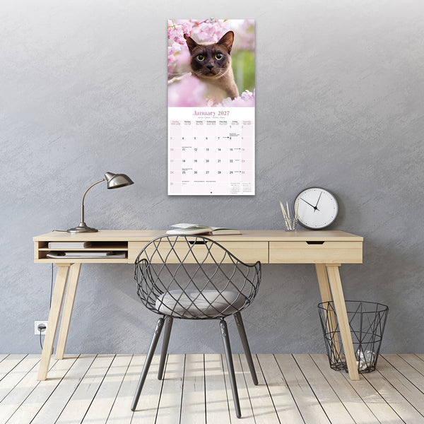 Burmese Cats Calendar 2027